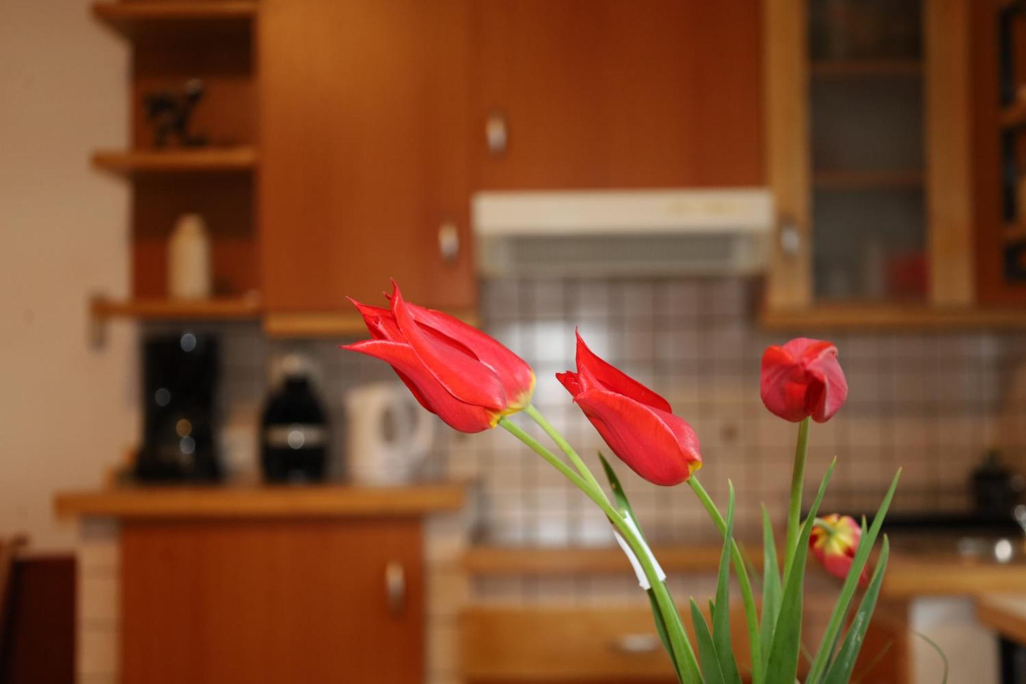 Apartment Norma Бовец Екстер'єр фото